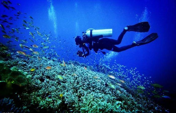 浦江镇 | 寻迹黄浦江前世今生
